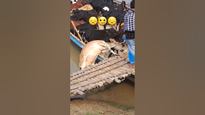 🐄😞Cow loading in boat😞🐄#gazi #agro #short #video #cow #bull #cowlover