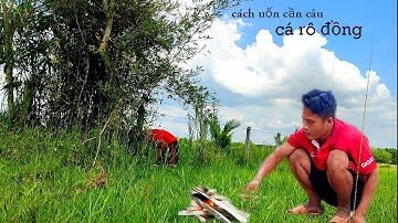 Cách uốn và chọn cây trúc như thế nào để có 1 cây cần câu cá rô đồng cực ngon ở quê