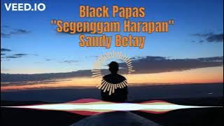 BLACK PAPAS - Segenggam Harapan (LIRIK) Cover by hgr
