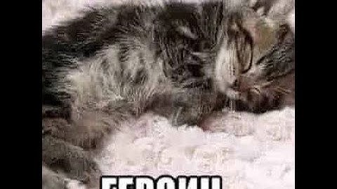 Rust Highlights #666 | By WixQ | ft. Tarhunar