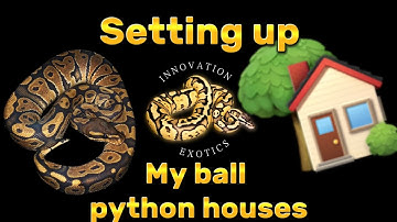 How I set up my ball python tubs?