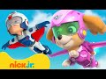 PAW Patrol Air Rescues &amp; Adventures! w/ Skye | 10 Minutes | Nick Jr.