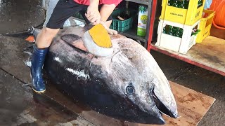 ปลาทูน่าครีบน้ำเงินยักษ์ 300 กก. ในตลาดปลาไต้หวัน