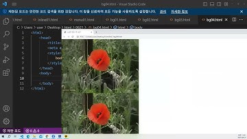 html css 배경 사진 반복하기