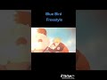 Naruto Bluebird Freestyle Naruto Bluebird Freestyle