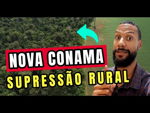 Resolução CONAMA 510/2025: O que muda na supressão de vegetação nativa? 🌱