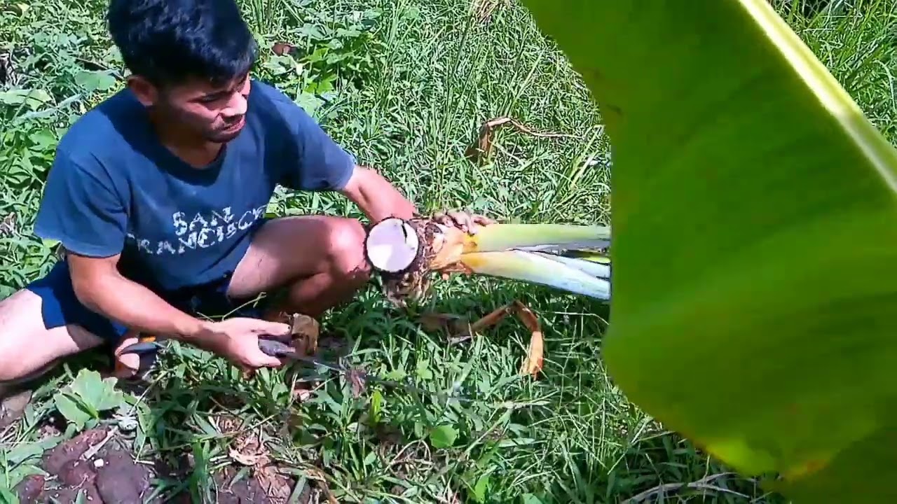 Cooking the best carabeef feet soup with taro to make it more special| countryside life Philippines