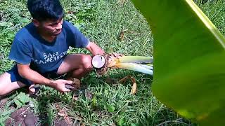 Cooking the best carabeef feet soup with taro to make it more special| countryside life Philippines