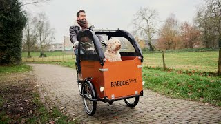 Elke week Lyrisch Bijna Honden bakfietsen voor jou en je hond van Babboe - YouTube