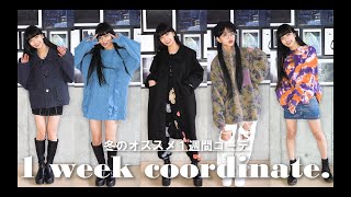 【1週間コーデ】2021年最新！冬のコーデ紹介！【clothing haul】