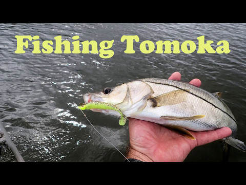 Fishing Tomoka