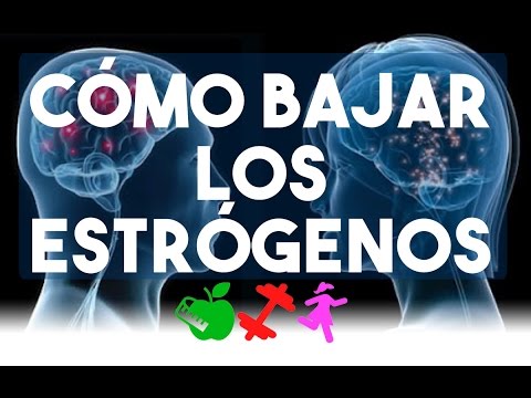 alimentos que bajan estrogenos alimentos que bajan estrogenos