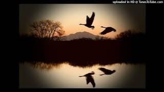 John Martyn - Small Hours, feat Steve Winwood & Morris Pert (One World, 1977)