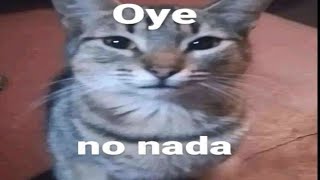 Shitposting compilation v5 | Shitpost Random | Shitpost en español