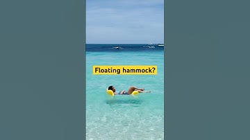 Floating Hammock!