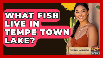 What Fish Live In Tempe Town Lake? - Everything About Phoenix