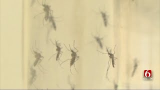 Famous Tulsa Health Department Confirms West Nile Virus In Mosquito Traps Wealth