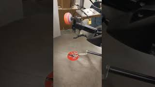 Auction #3586369 - Scroll Saw, Delta