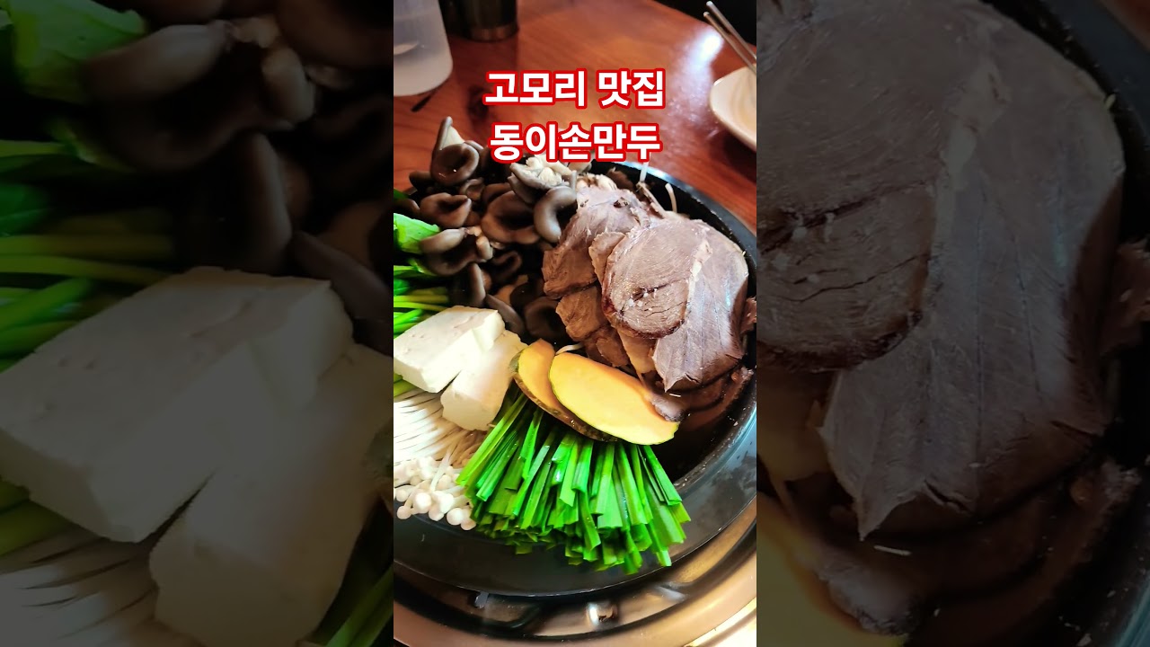 포천 고모리 맛집 동이손만두 #고모리맛집 #포천맛집 #동이손만두 #shorts