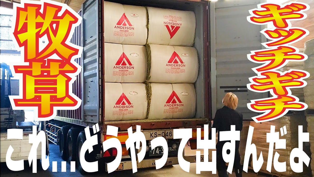 海上コンテナの輸入牧草の荷下ろし作業です。ギッチギチに詰められた 