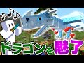 【マイクラ】ドラゴンだらけの世界で全てのドラゴンを飼いならす #11 ドラゴンを魅了する最強の笛!?【マインクラフト】