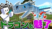 依頼を受けて 魚が食べる餌について調べてみた Youtube 依頼を受けて 魚が食べる餌について調べてみた Youtube