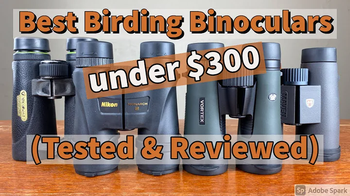 Best Birding Binoculars under $300 - Tested & Reviewed