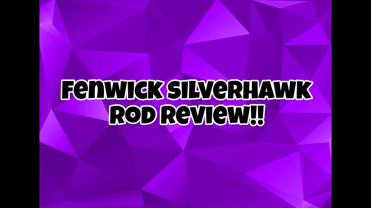 Fenwick silverhawk bait casting rod review