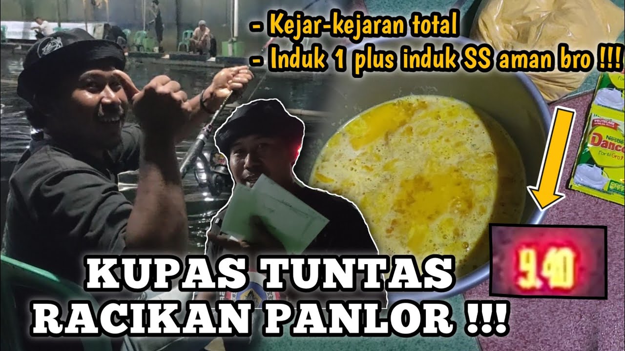 CARA MEMBUAT UMPAN PANLOR TERBARU