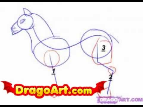 How to draw a unicorn, step by step - YouTube