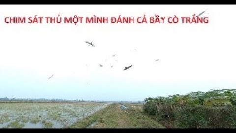 Sát thủ đồng quê 2021 ( cắt lớn săn cò ) tập 2