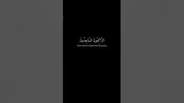 [التائبون العابدون الحامدون..] كرومات قران شاشة- اسلام صبحي - سورة التوبة