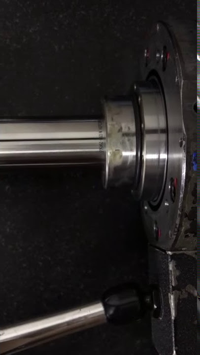 Spindle SEID: 160111