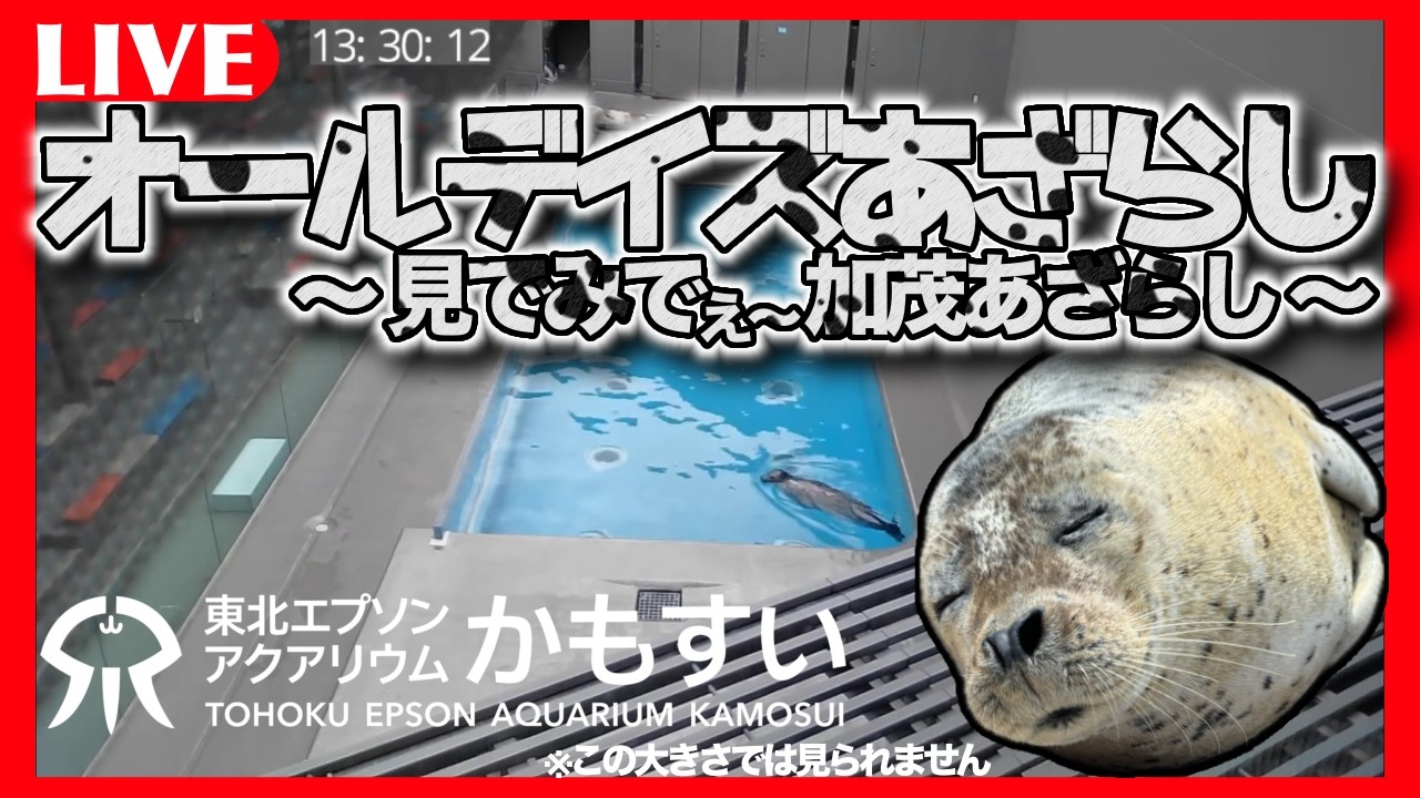 無料公開】 オールデイズあざらし ～見でみでぇ加茂あざらし～ - YouTube