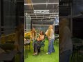 اکیپ ۳نفرتو این زیر تگ کن Lifestyle طنز ترند خنده فان Funny تیک تاک Fun Explore اکیپ ۳نفرتو این زیر تگ کن Lifestyle طنز ترند خنده فان Funny تیک تاک Fun Explore