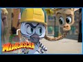 Trying to hide! | DreamWorks Madagascar