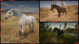 Red Dead Redemption 2 Stealing Braithwaite horses glitch