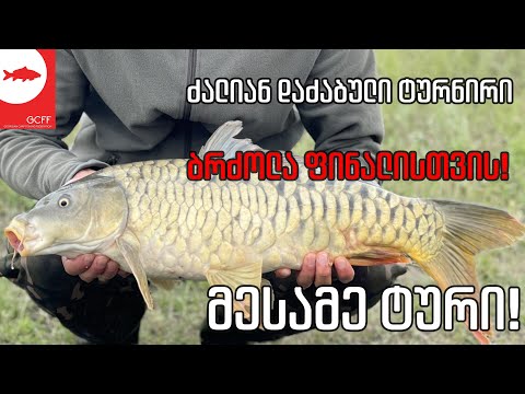 ბრძოლა ტურნირის ბოლო წუთამდე - დრამატული ფინიში!