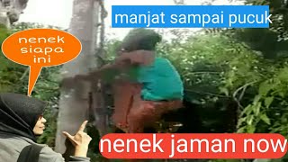 NENEK VIRAL MANJAT POHON JATI SAMPAI PUCUK