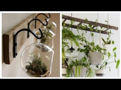 Inspire se com estas 17 Ideias de suporte de plantas simples e fácil -  thptnganamst.edu.vn