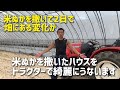 【いちご栽培 いちご農家】米ぬかを撒いたハウスをトラクターでうないます