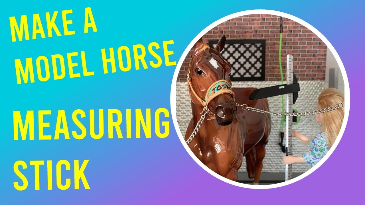 How Tall is My Model Horse Make a Model Horse Measuring Stick YouTube