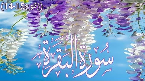 "Hypocrisy, Arrogance, and Lessons from the Children of Israel - Surah Baqarah Ruko 14-15"✨️  