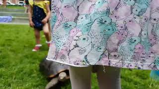 Curious Creatures in Lowell