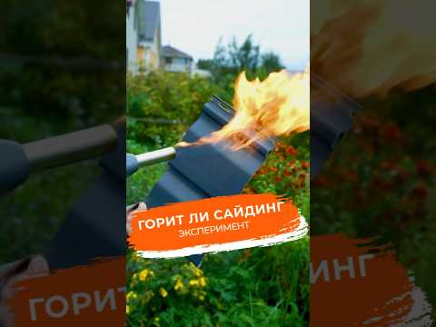 Краш-тест разных видов