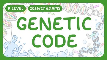 A-Level Biology - Genetic Code | How DNA Packs into Chromosomes | Codon Tables (2026/27 exams)