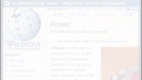 Google Search on Android