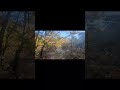 Nature park walkthrough in Massachussets