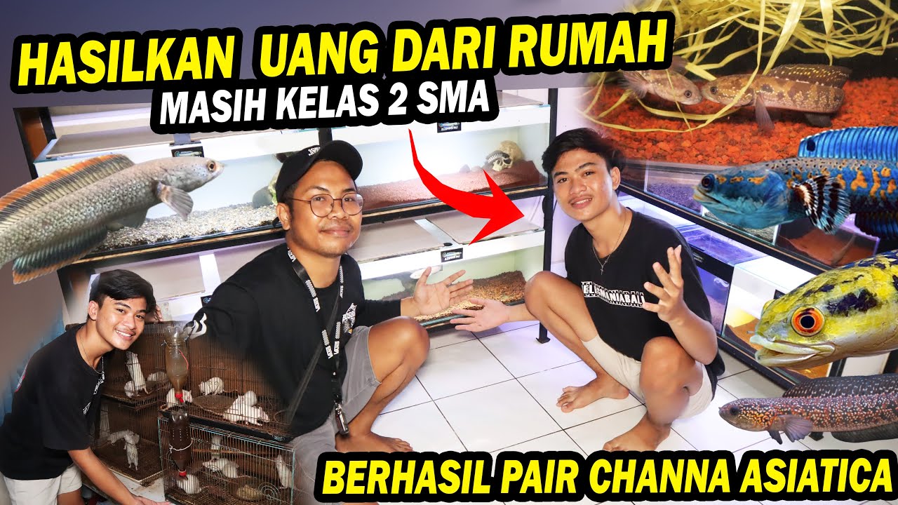 KAGET!!! BOCAH KELAS 2 SMA TERNAK CHANNA DAN TIKUS DI RUMAH 