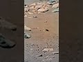 una mosca en Marte y va para el Miércoles